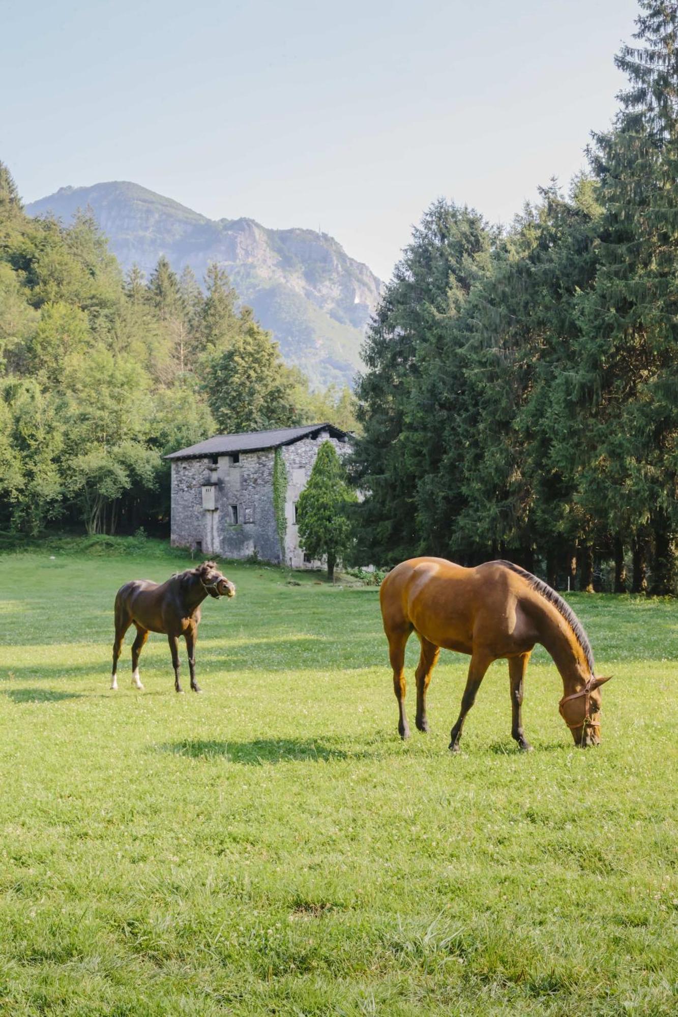 Vila Agriturismo Ferdy Lenna Exteriér fotografie